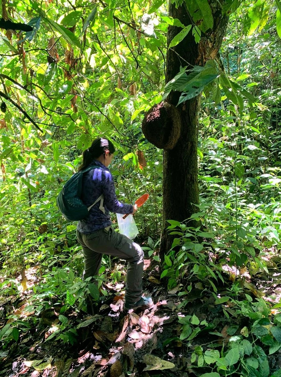 Fieldwork in the Andes